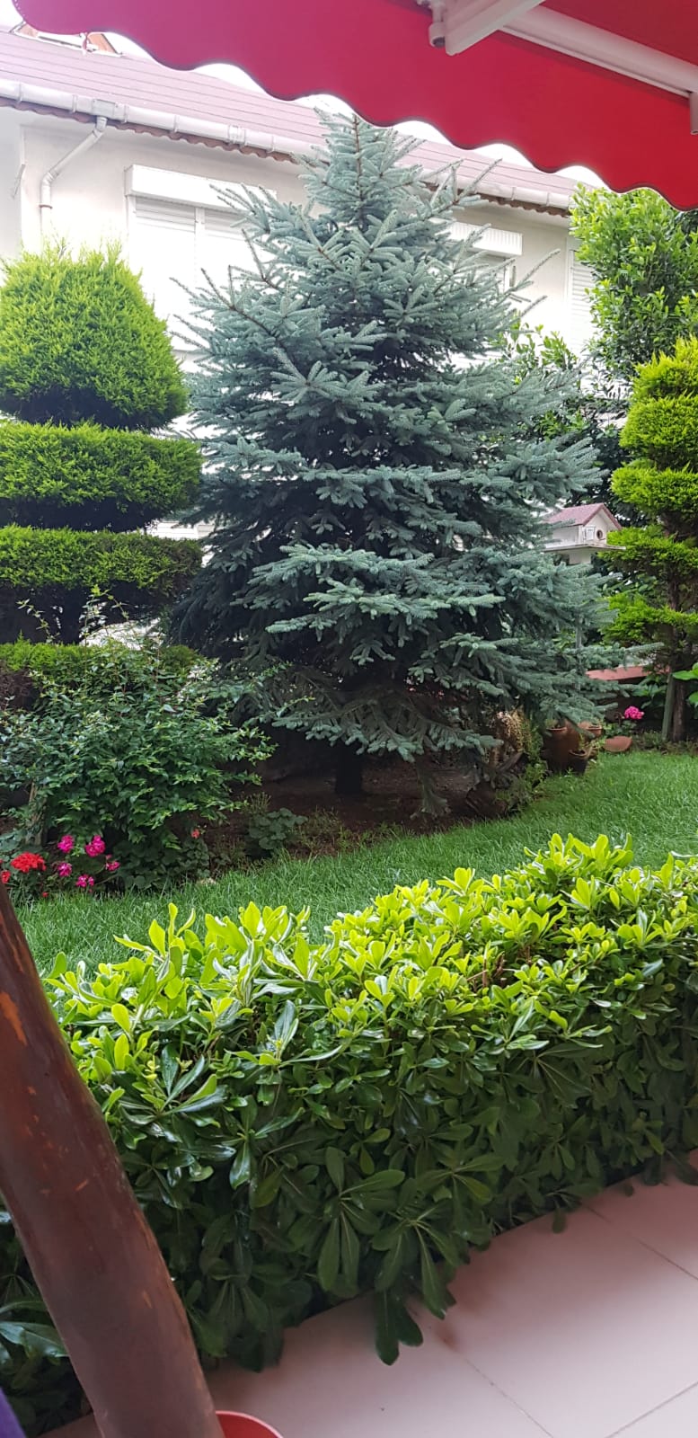 Şile Balibey… 2+1 Kombili 7 Yıllık Bahçe Kullanımlı Satılık Daire
